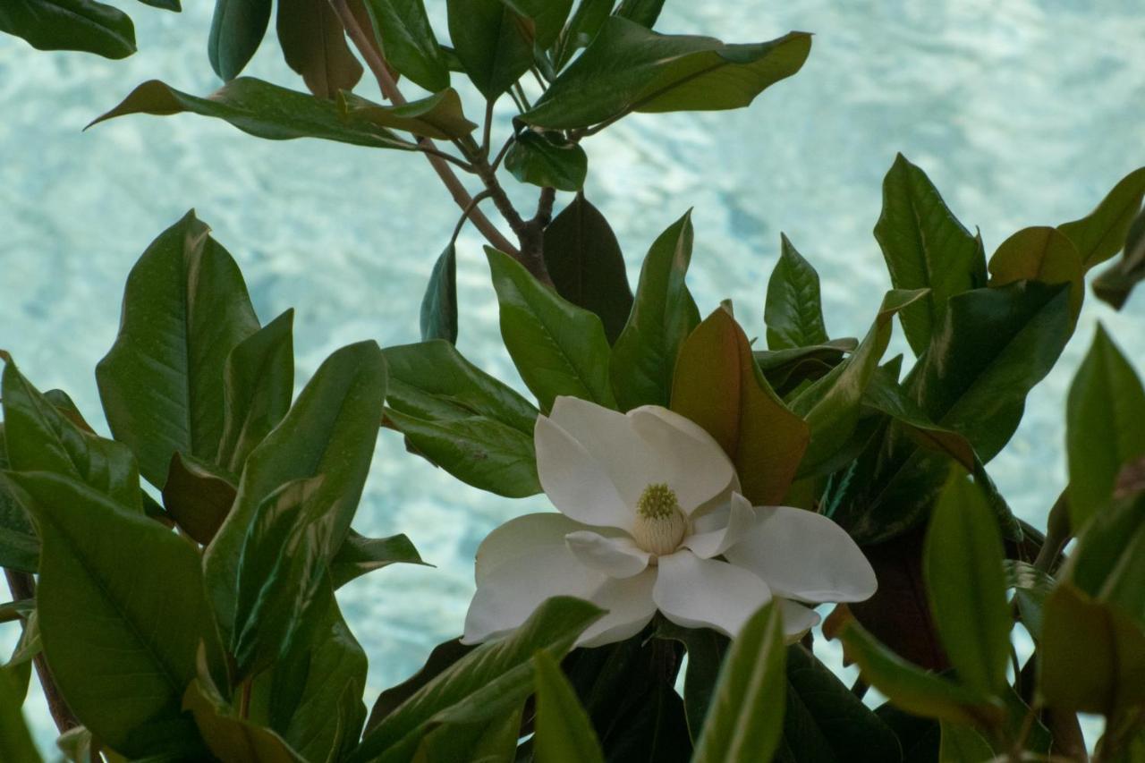 וארקיזה Stefanakis Hotel & Apartments מראה חיצוני תמונה